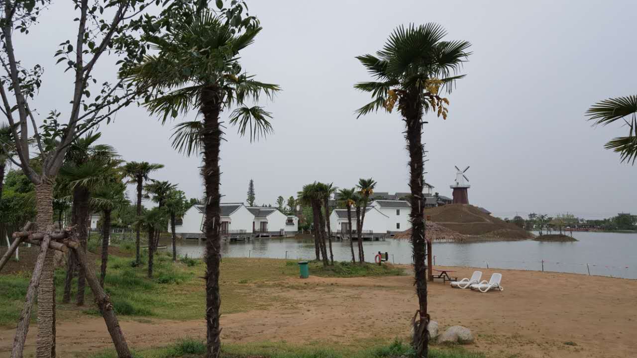 景色.jpg